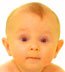 orangebaby