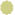 greenbul