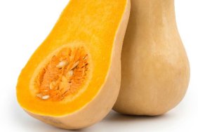 butternut squash that could be used for baby food